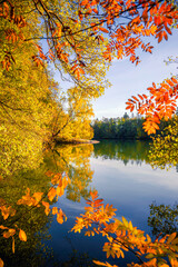 autumn by the lake with colorful leaves