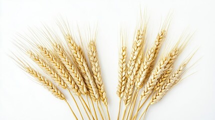 Fototapeta premium Golden Wheat Ears Harvested in Bright Sunlight on a Clear Day Generative AI