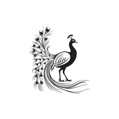 Fototapeta premium The peacock Silhouette vector