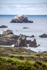 US West Coast along Highway No. 1 with wonderful natural impressions.