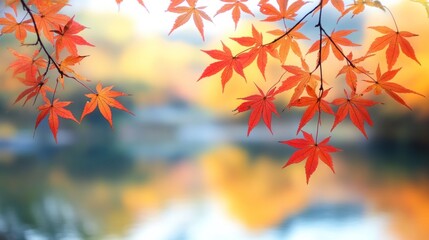 Close-up of vibrant red maple leaves against a blurred background of a lake and autumn foliage.