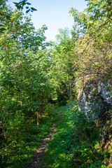 Chemin en montagne
