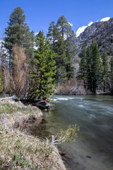 Idyllic Rush Creek in California between Silver and Grant Lake