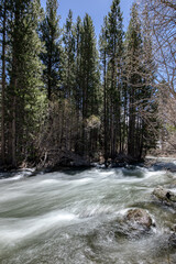 Idyllic Rush Creek in California between Silver and Grant Lake