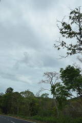 Obraz premium selective focus picture of the road through the mountains in a fall season