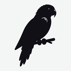 dove of peace, Red Lory