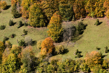aerial view of an autumnal mixed forest with colorful leaves on the Swabian Alb,...