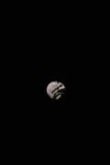 Naklejka premium selective focus picture of moon in the forest