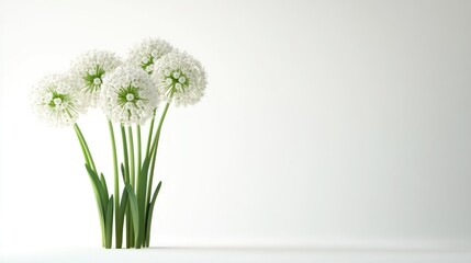 A serene arrangement of white flowers with green stems against a minimalist background.