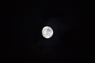 selective focus picture of moon in the forest