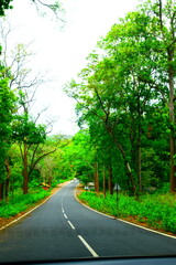Fototapeta premium selective focus picture of the road through the mountains in a fall season