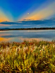 El jardín de los dioses 
