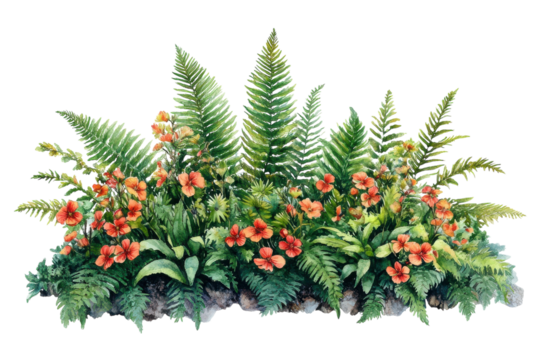 Ferns and Flowers Isolated on transparent Background for Creative and Aesthetic Use in Design Projects