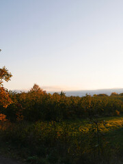 Sunset in a rural area. Landscape photography on a farm, by an agricultural field.