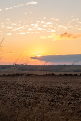 View of the stage of the Camino de Santiago from Hornillos del Camino to Castrojeriz through the Meseta de Cerealera.