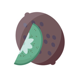 Sliced fruit sticker. Natural and organic fresh kiwi. Healthy eatings and vitamins. Ingredient and harvest. Template and layout. Flat vector illustration