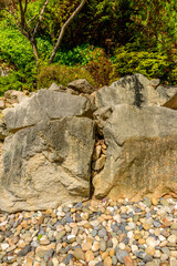 House with nice spring blossom landscape in Vancouver, Canada