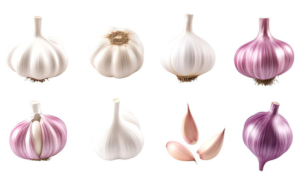 Collection of Various types of garlic isolate on transparent background, cutout, png