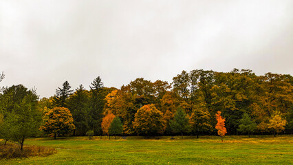 Path in the forest at peak autumn foliage, orange, red and yellow trees in nature fall season, walk in forest