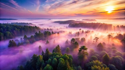 Obraz premium Enchanting Dawn in Misty Forest: Ethereal Atmosphere with Purple Hues and Soft Light Filtering Through Trees
