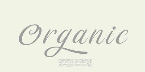 Vector elegant alphabet letters font classic modern serif lettering minimal fashion