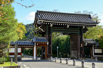 The street scene of Kyoto, Japan with trees. Cityscape, streetscape of Japan. Travel concept.