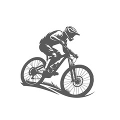 Fototapeta premium Mountain bike rider isolated vector illustration