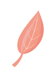 Fallen autumnal leaf. Red maple leaves and foliage. Autumn and fall season. Forest flora. Autumnal day. Logotype and emblem. Flat vector illustration