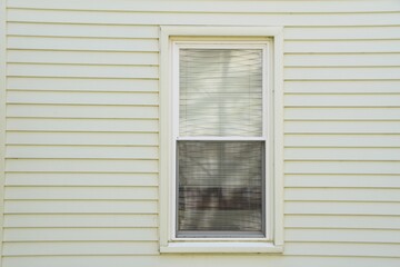 casement window with reflection shadow of tree 