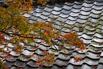 Close-up of the roof of Tenryuji Temple in Kyoto, Japan with trees. Roof tile pattern. Major tourist attraction in Kansai region in Japan. Japan famous historic architecture. Building structure.