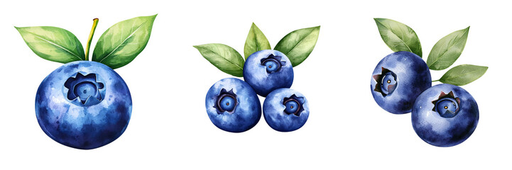 Blueberries with leaves on a white isolated background. transparent background.