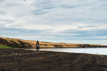 wild life inside the Vatnsnes Peninsula, Iceland