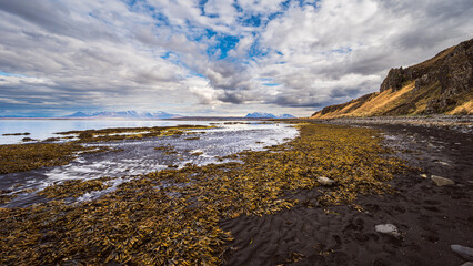 nature sceneries inside the Vatnsnes Peninsula, Iceland