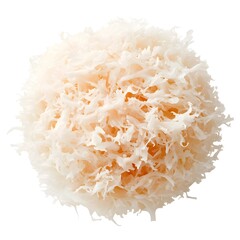 Macro Shot of Perfect Pickled Sauerkraut on White Background