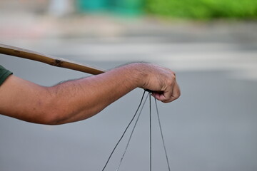 Partial view to a male arm carrying fruits in the traditional Vietnamese way.