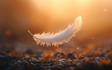 A close-up view of a single, fluffy white feather drifting gracefully in the air, with sunlight illuminating its texture against a subtle, ethereal backdrop