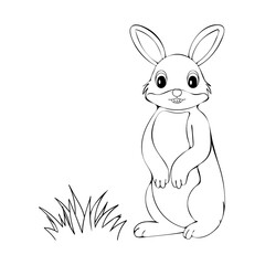 Fototapeta premium Simple cute coloring page animal bunny rabbit outline flat illustration