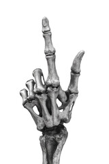 Realistic Bone Hand Gesture with Pointing Finger on Transparent Background - Made with Generative AI