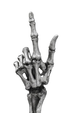 Realistic Bone Hand Gesture with Pointing Finger on Transparent Background - Made with Generative AI