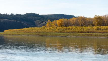 Golden autumn foliage lines the calm banks of a Montana river, set against rolling hills and pine-covered ridges under a crisp fall sky.