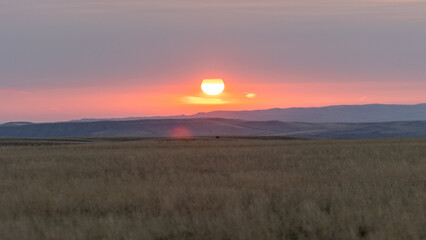 As the sun rises over Eastern Montana, golden light bathes the open prairie and distant mountains, revealing the quiet majesty of the rugged landscape.