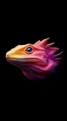  A tight shot of a fish's head against a black backdrop, its image slightly blurred