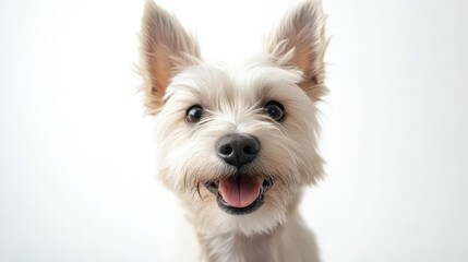 Happy Dog Portrait with Bright Expression