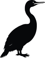 cormorant silhouette vector illustration.