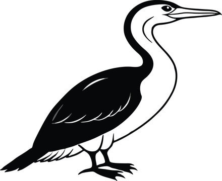 recommend clip art: cormorant silhouette vector illustration.
