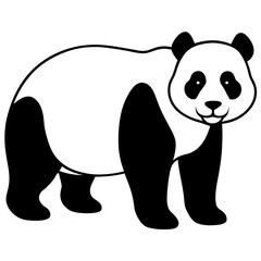 panda bear illustration