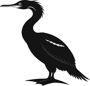 recommend clip art: cormorant silhouette vector illustration.