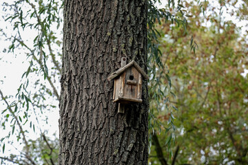 Bird house attached to a tree trunk