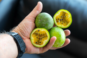 passion fruit from the bush or passion fruit from the backlands or marucujá from the cerrado....