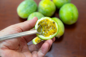passion fruit from the bush or passion fruit from the backlands or marucujá from the cerrado....
